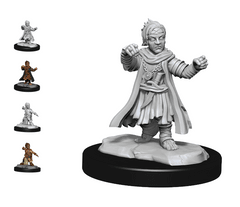 HALFLING MONK MALE